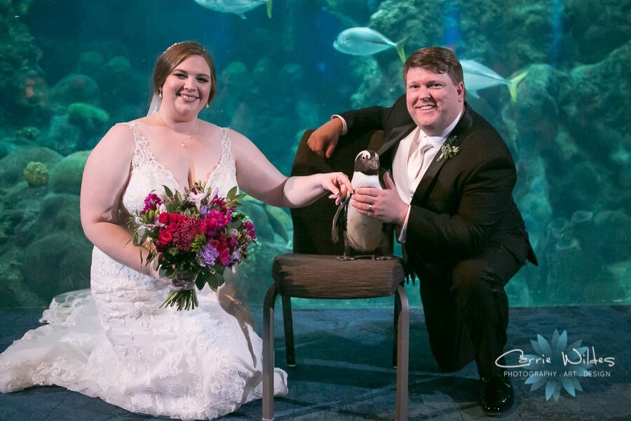 11_23_19 Elizabeth and Jonathan Florida Aquarium Wedding 068.jpg