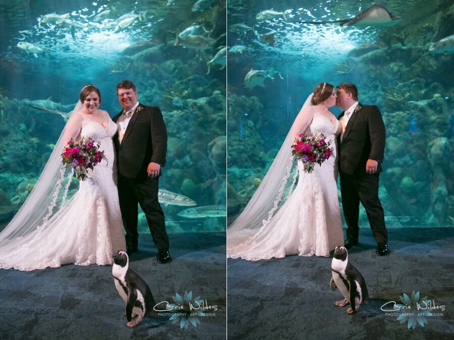 11_23_19 Elizabeth and Jonathan Florida Aquarium Wedding 070.jpg