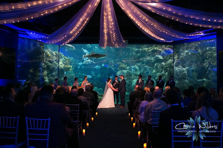 2_22_20 Brandee and Joe Florida Aquarium Wedding 060.jpg