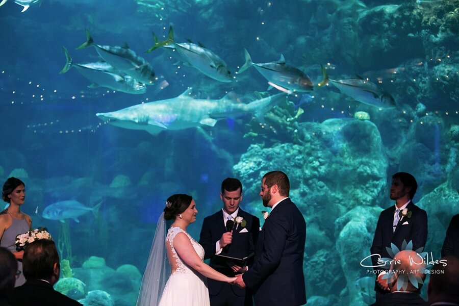 2_22_20 Brandee and Joe Florida Aquarium Wedding 062.jpg