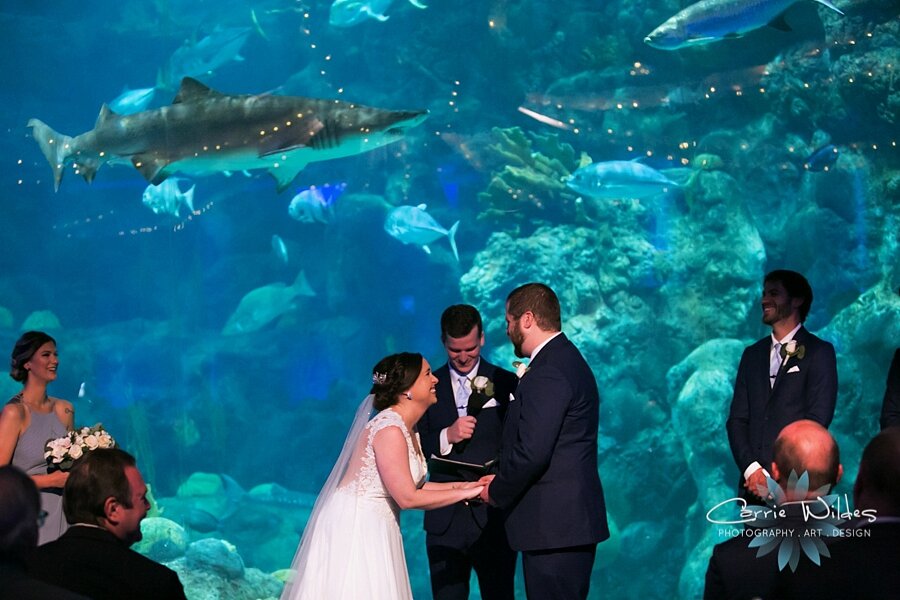 2_22_20 Brandee and Joe Florida Aquarium Wedding 063.jpg