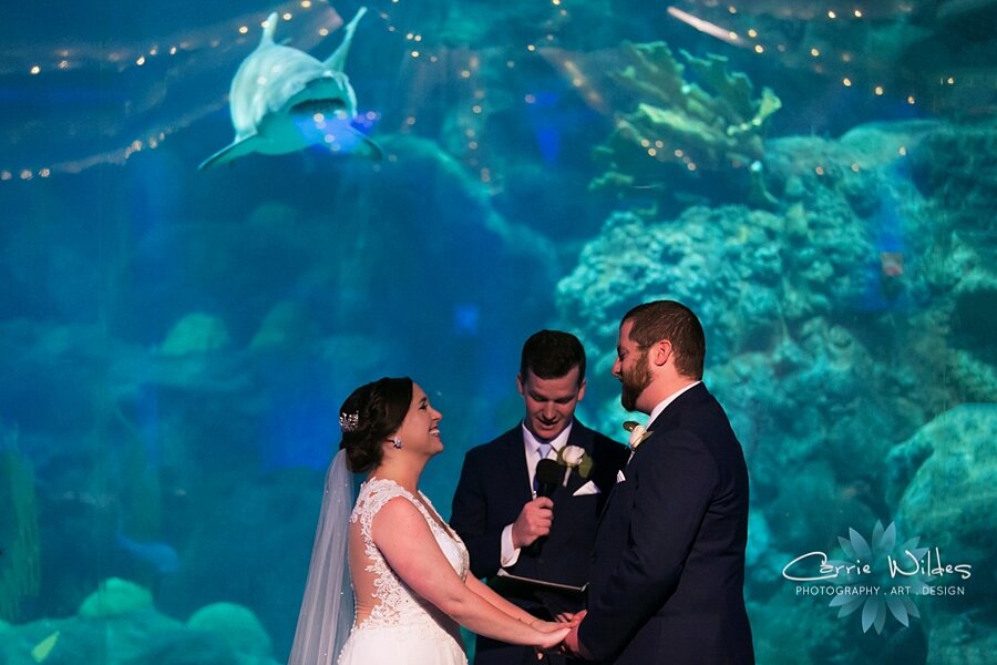 2_22_20 Brandee and Joe Florida Aquarium Wedding 064.jpg