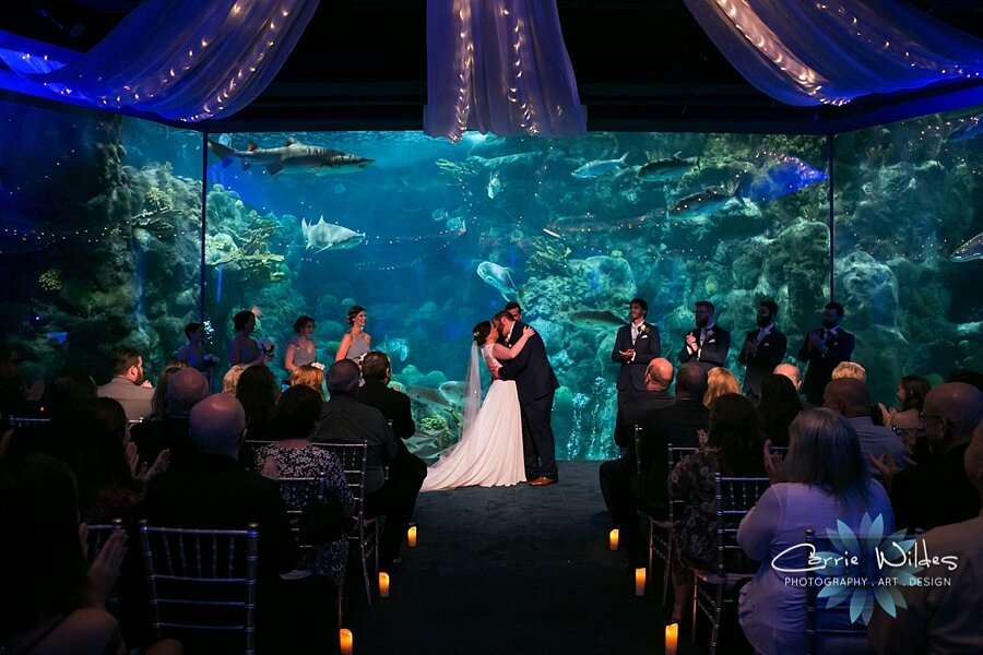 2_22_20 Brandee and Joe Florida Aquarium Wedding 065.jpg