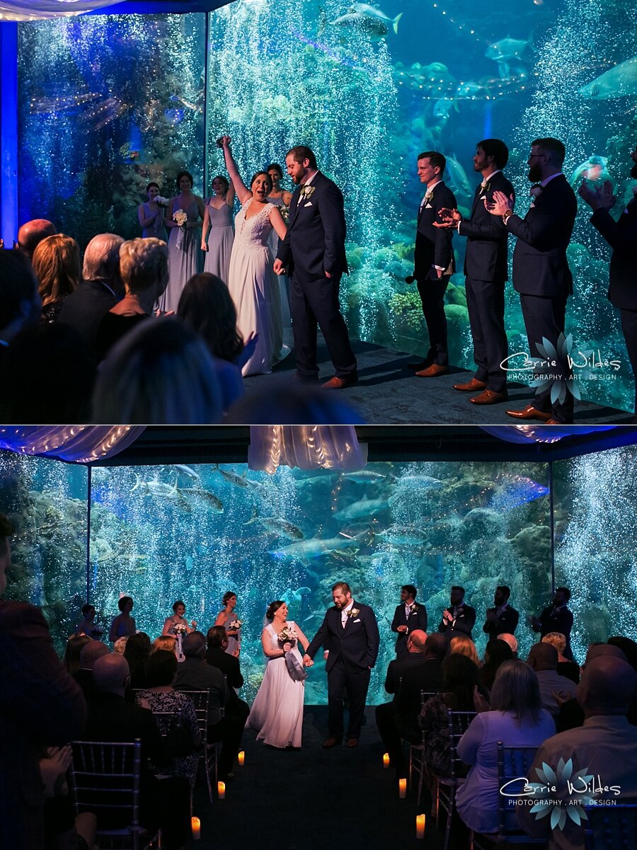 2_22_20 Brandee and Joe Florida Aquarium Wedding 066.jpg