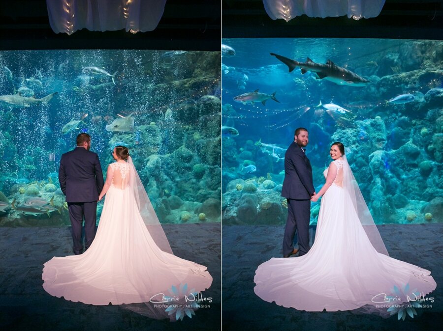 2_22_20 Brandee and Joe Florida Aquarium Wedding 068.jpg