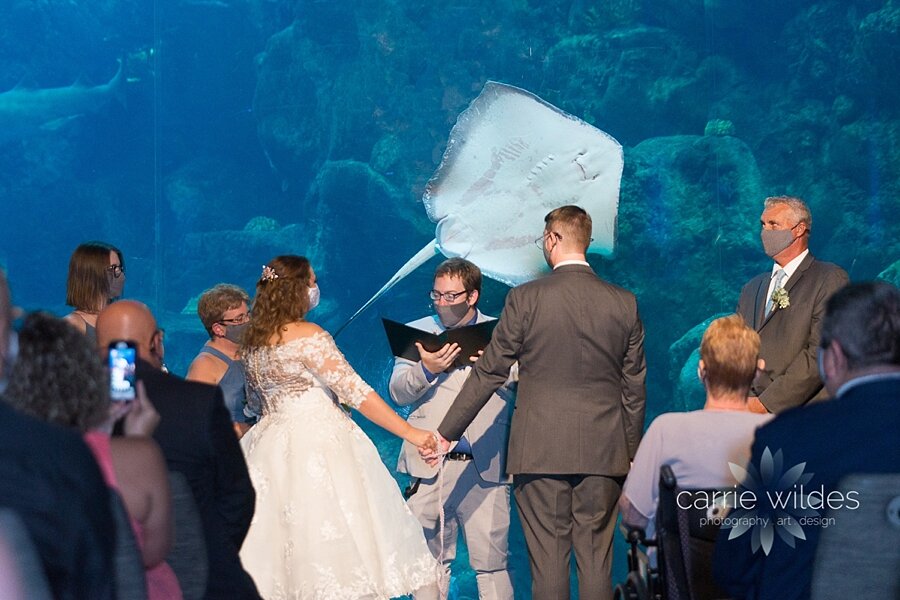 9_26_20 Samantha and Colton Florida Aquarium Wedding 051.jpg