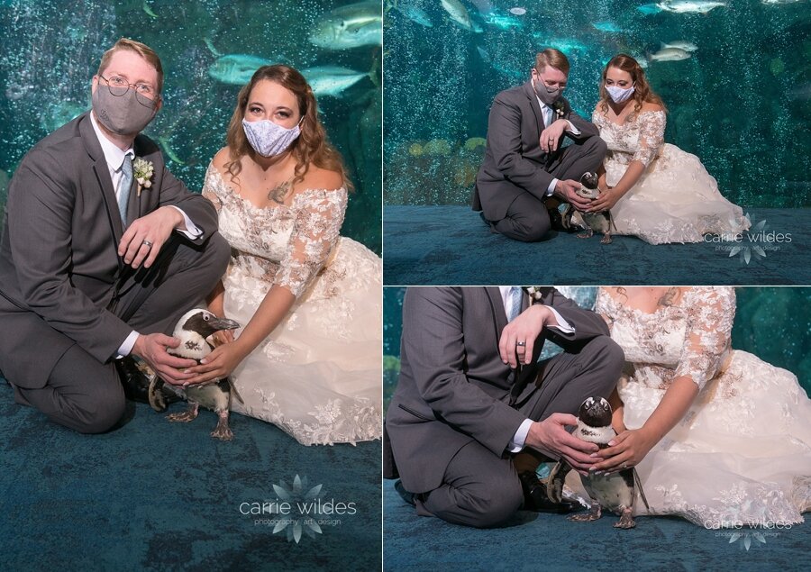 9_26_20 Samantha and Colton Florida Aquarium Wedding 058.jpg