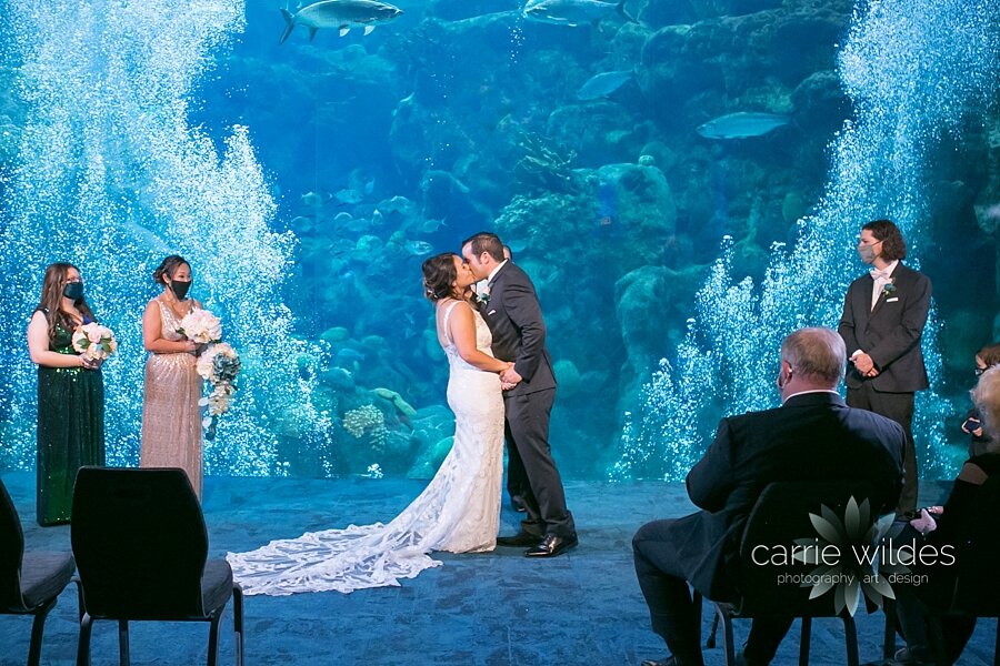 10_10_20 Sylvia and Ryan Florida Aquarium and Cuban Club Wedding_0014.jpg