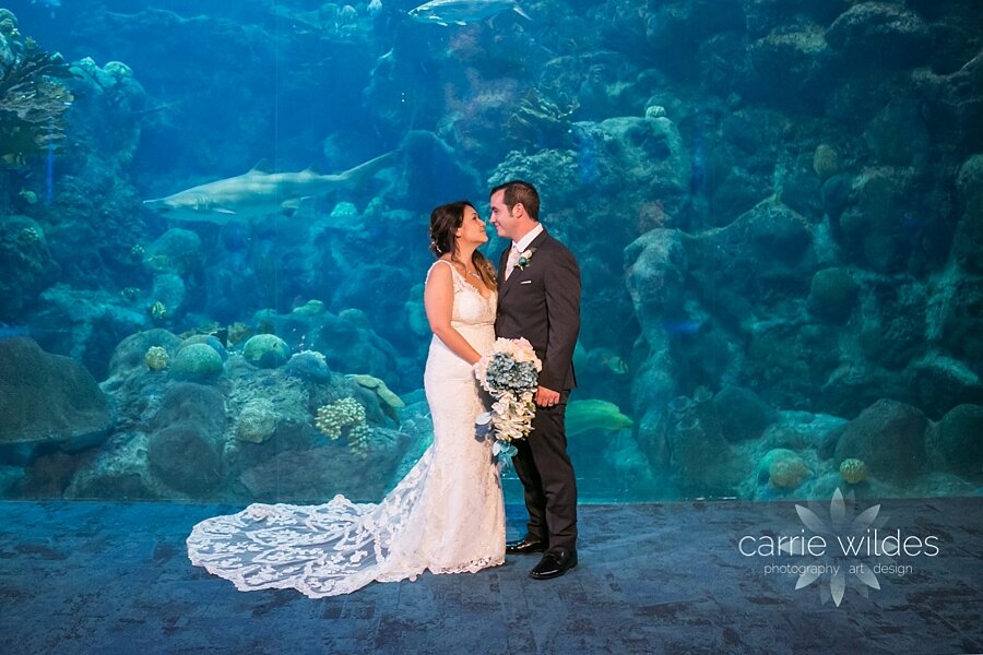 10_10_20 Sylvia and Ryan Florida Aquarium and Cuban Club Wedding_0020.jpg