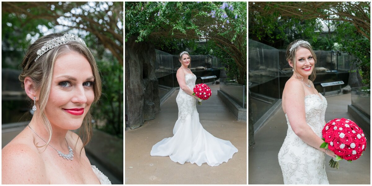 Florida Aquarium Wedding- Tampa Photographer_0040.jpg