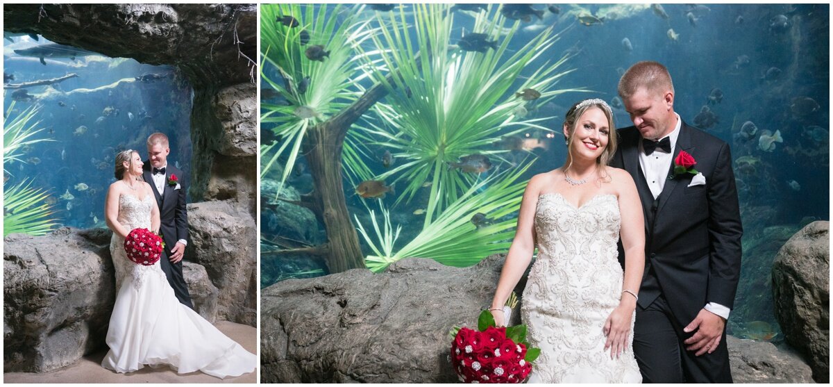 Florida Aquarium Wedding- Tampa Photographer_0044.jpg