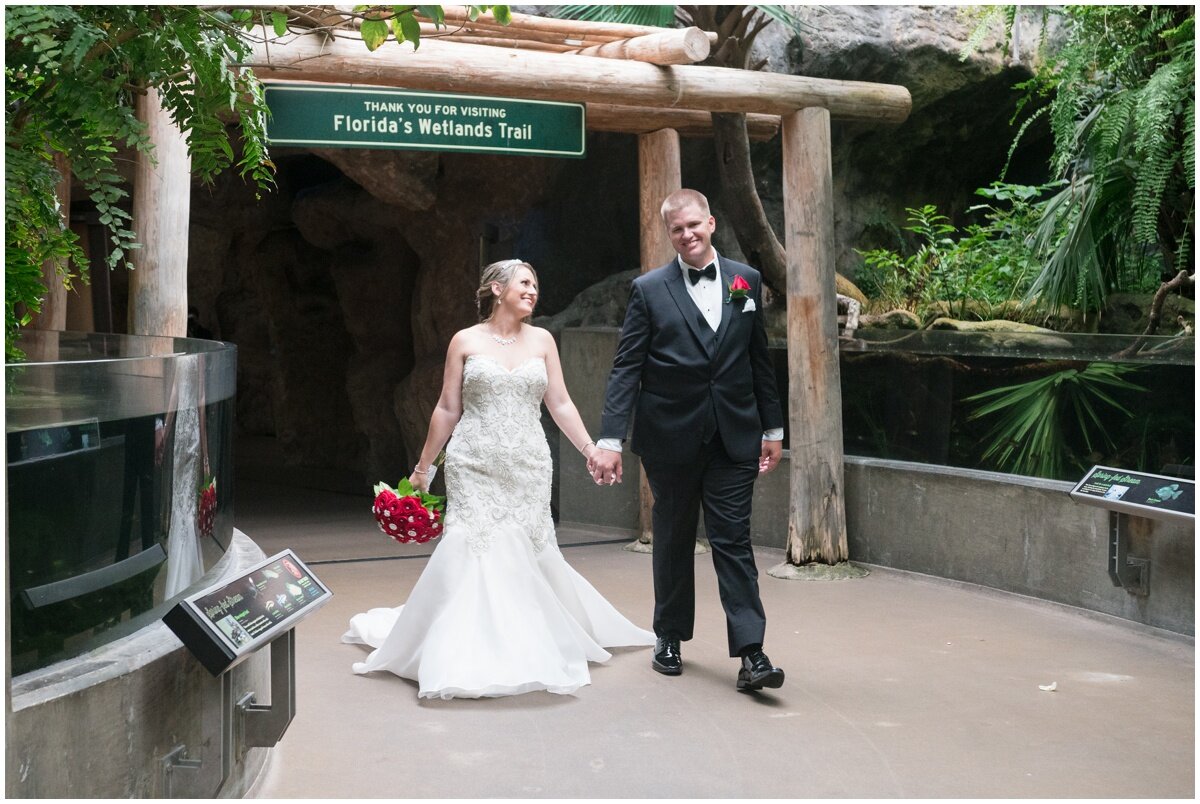 Florida Aquarium Wedding- Tampa Photographer_0045.jpg