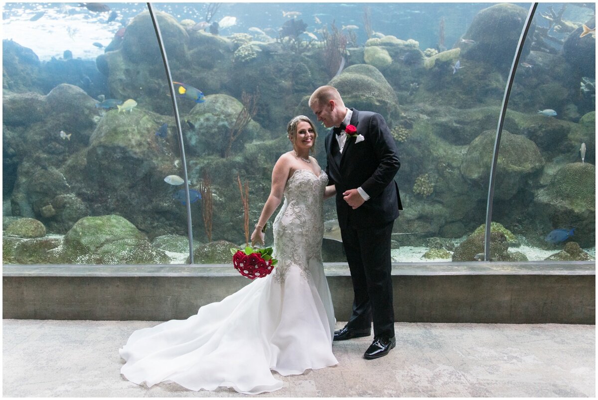 Florida Aquarium Wedding- Tampa Photographer_0048.jpg