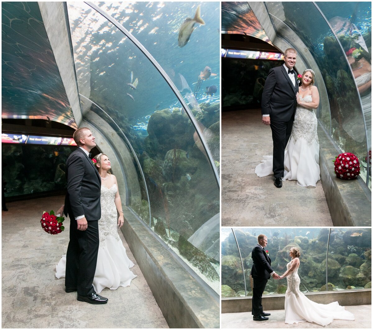 Florida Aquarium Wedding- Tampa Photographer_0049.jpg