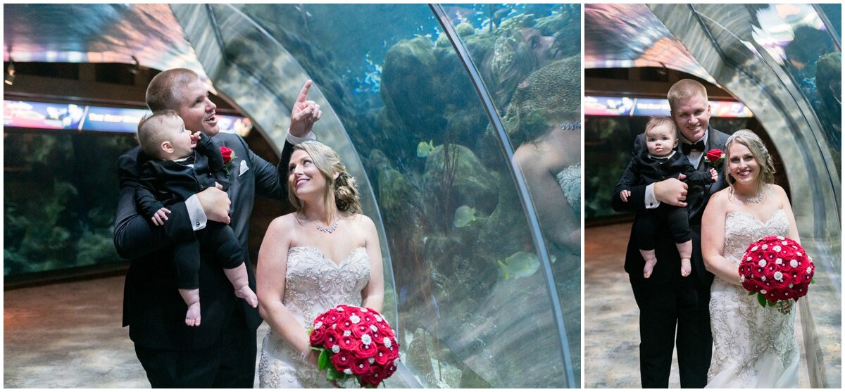 Florida Aquarium Wedding- Tampa Photographer_0056.jpg