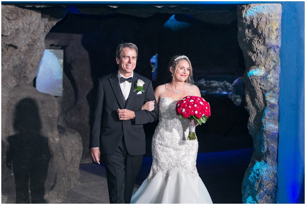 Florida Aquarium Wedding- Tampa Photographer_0052.jpg