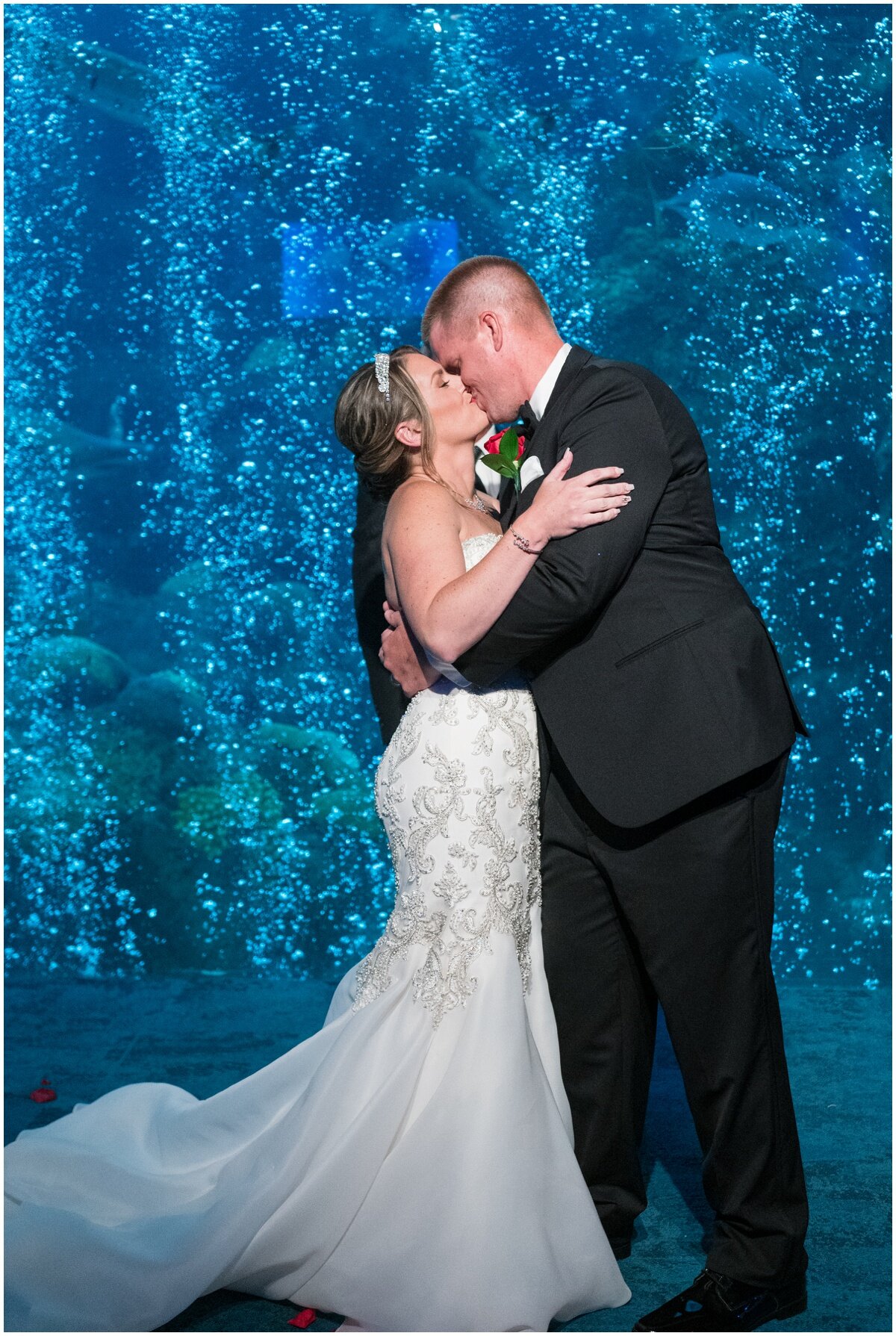 Florida Aquarium Wedding- Tampa Photographer_0054.jpg