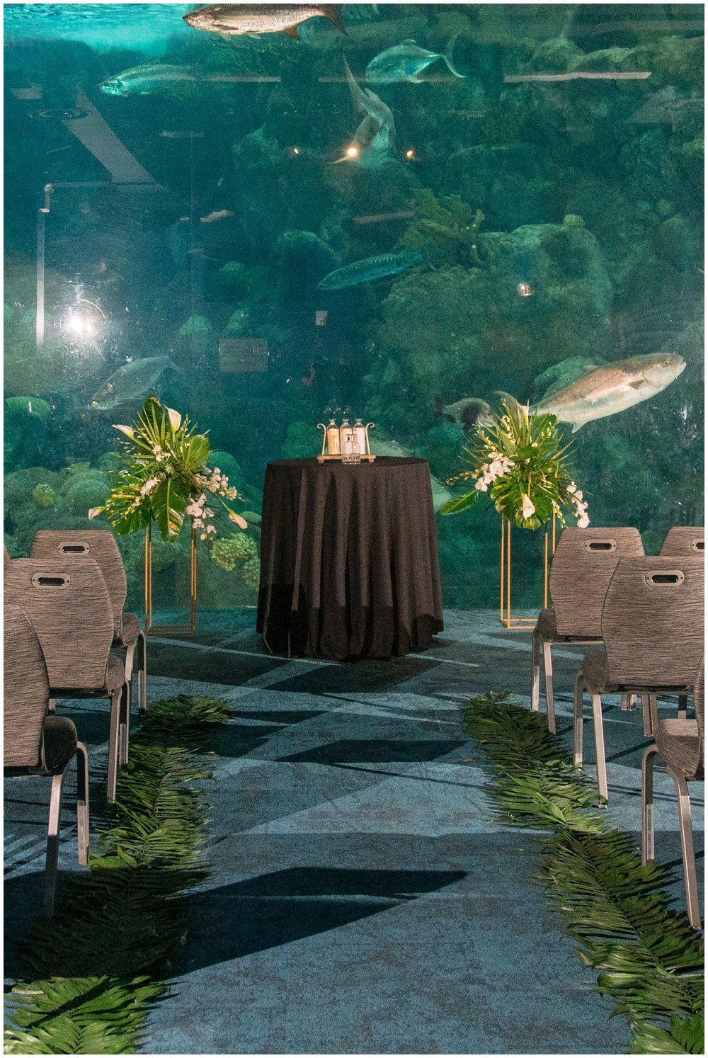 Florida Aquarium Wedding- Tampa Photographer_0089.jpg