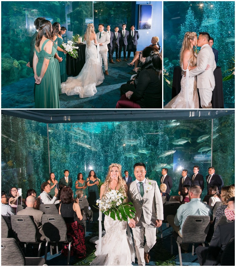Florida Aquarium Wedding- Tampa Photographer_0092.jpg