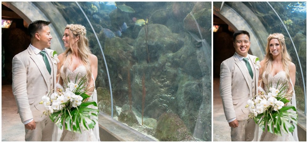 Florida Aquarium Wedding- Tampa Photographer_0110.jpg