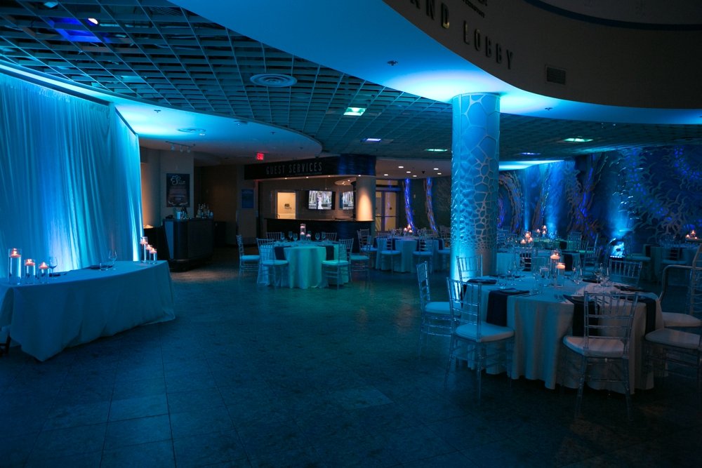 Florida-Aquarium-Wedding-Uplighting_0003.jpg