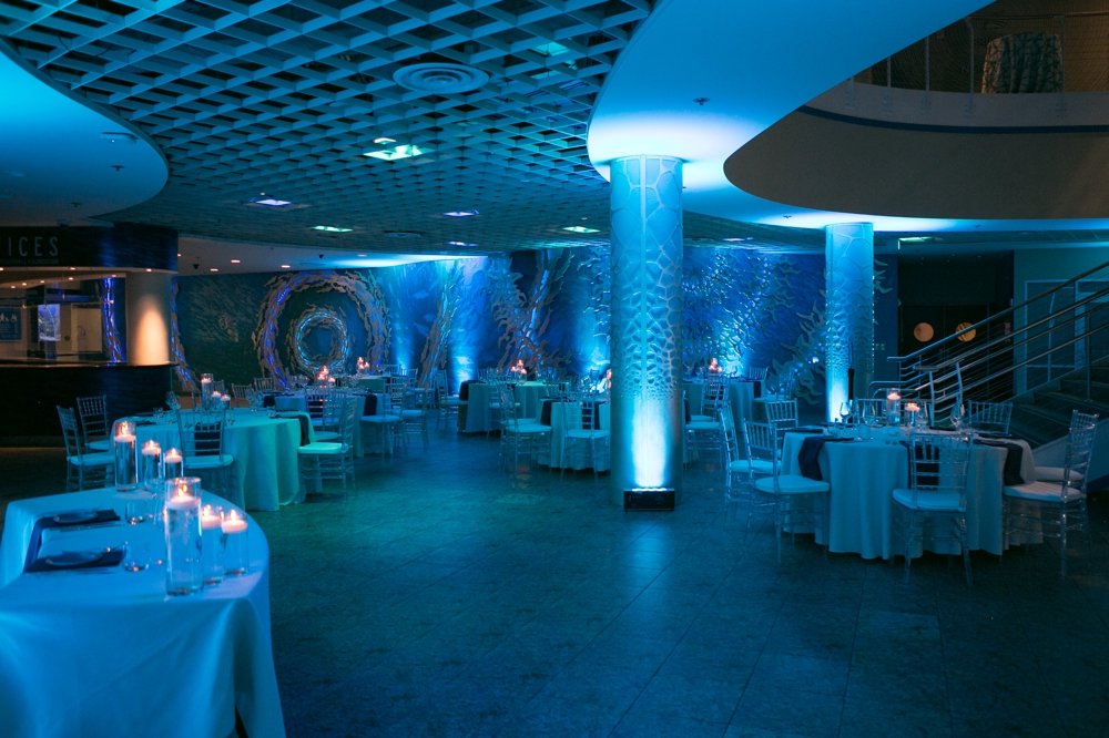 Florida-Aquarium-Wedding-Uplighting_0005.jpg