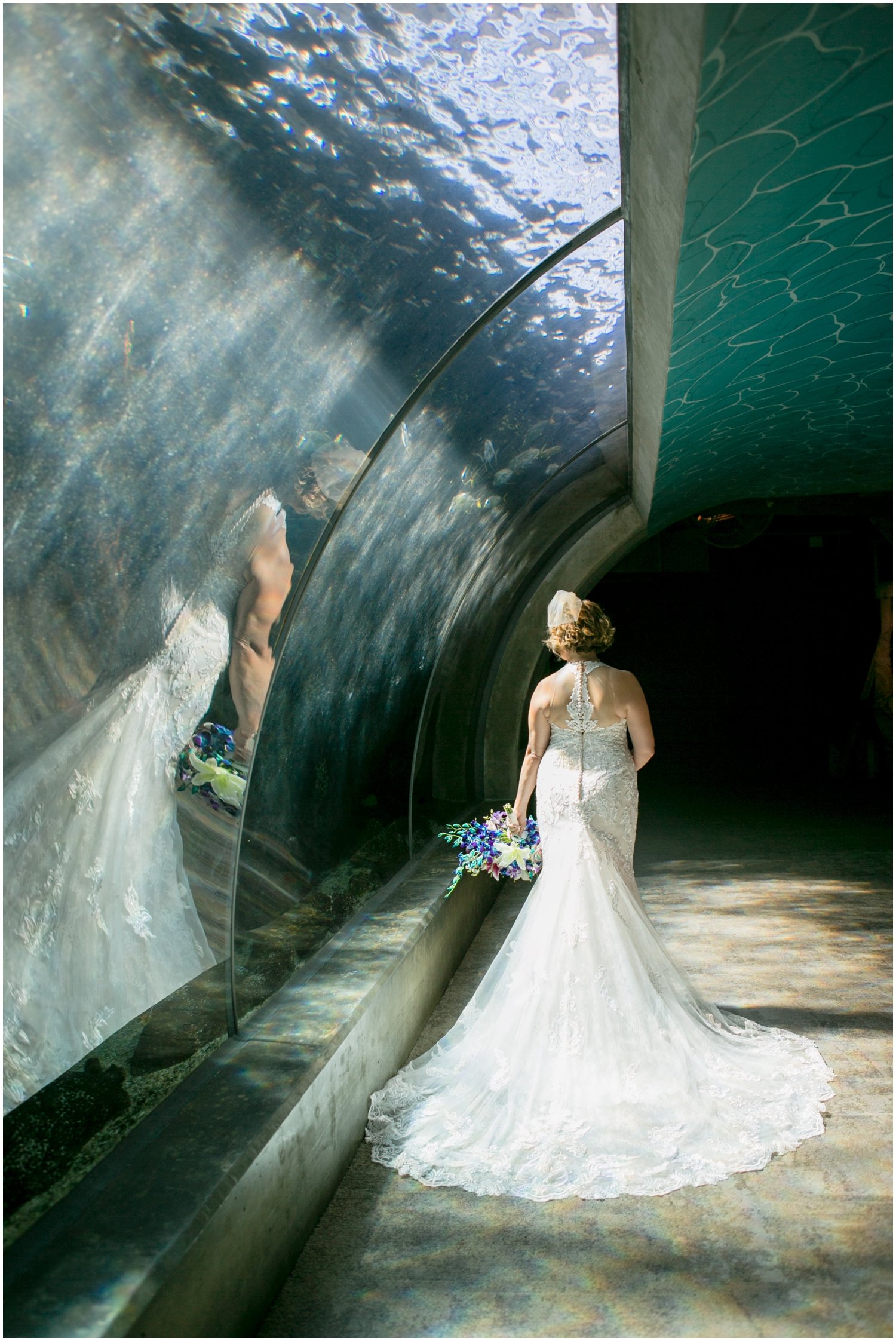 Florida Aquarium Wedding | Tampa Photographer_0012.jpg