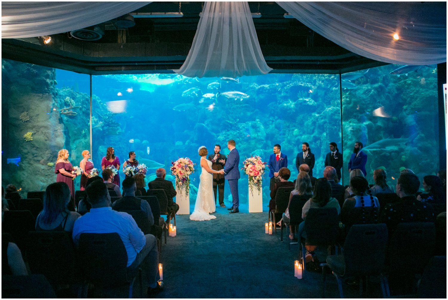 Florida Aquarium Wedding | Tampa Photographer_0036.jpg