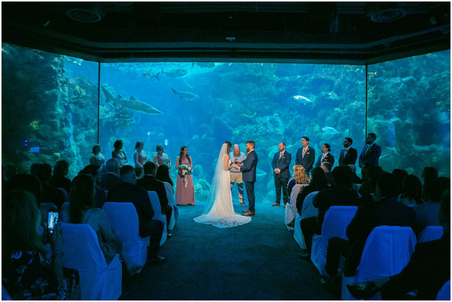 Unique Tampa Wedding Venue- Florida Aquarium_0029.jpg