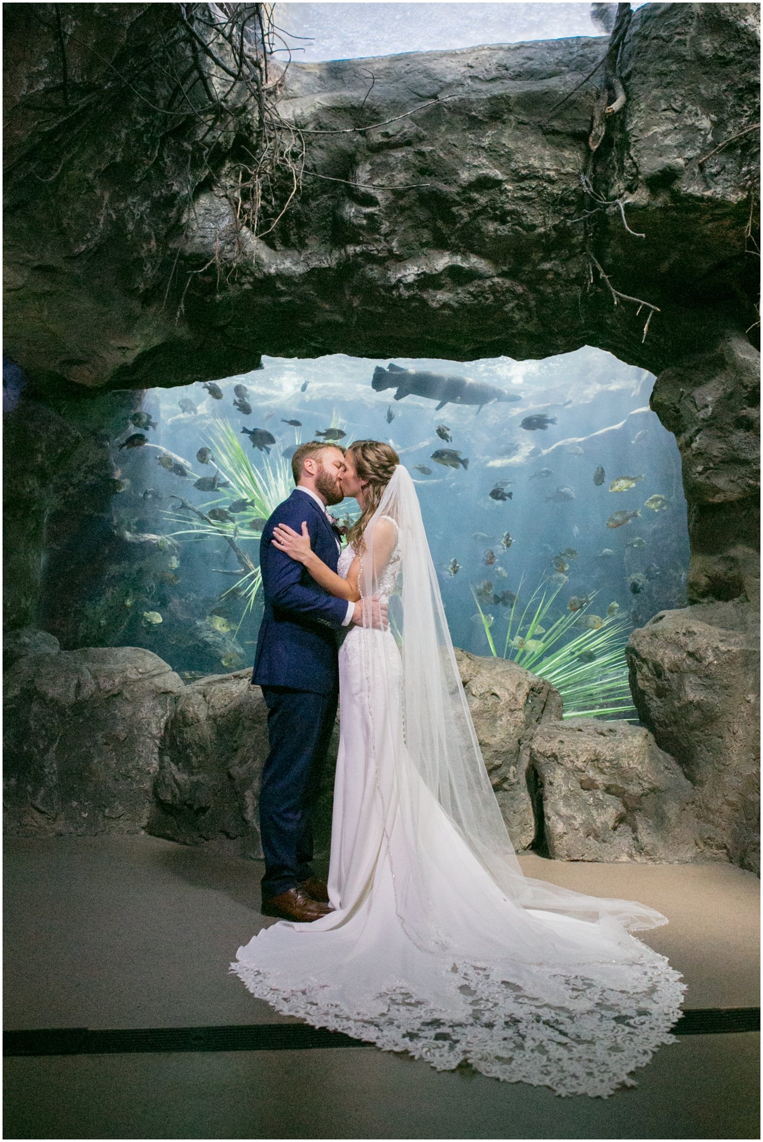 Unique Tampa Wedding Venue- Florida Aquarium_0039.jpg