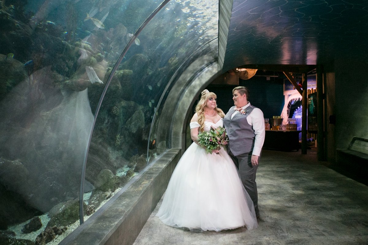 Florida Aquarium Wedding Heather and Megan 16.jpg
