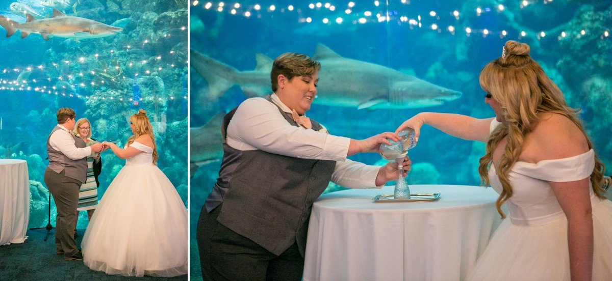 Florida Aquarium Wedding Heather and Megan 24.jpg