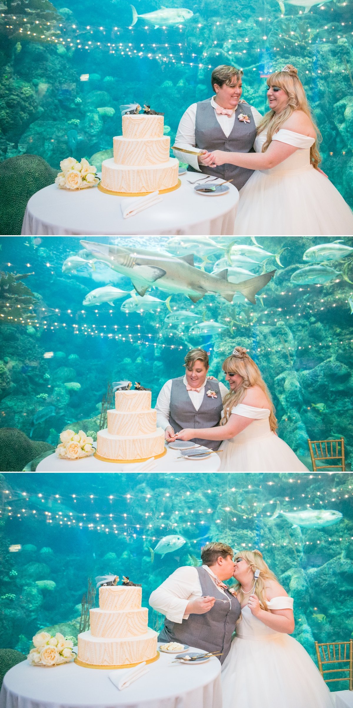 Florida Aquarium Wedding Heather and Megan 32.jpg