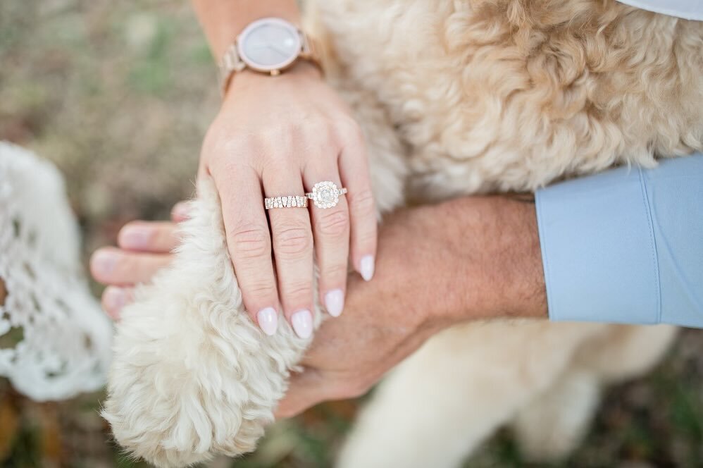 Two favs of the last two sessions !!! 🐾 

We love to have your pets included in your engagement session, always brings a special memory to this moment.. so, don&rsquo;t think about it too much! Include them to your next session, I will love to make 