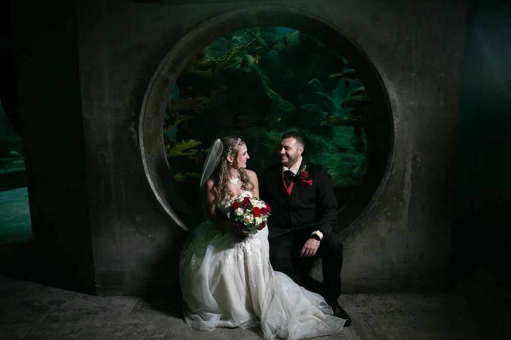 Sneak peeks from Elizabeth + Ronnie&rsquo;s incredible wedding day at the Florida Aquarium! 🐠🦈🧜&zwj;♀️ Their rich burgundy details with little hints of Star Wars 🌌⚔️ made the whole day so uniquely them&mdash;and we even wrapped up the night with 