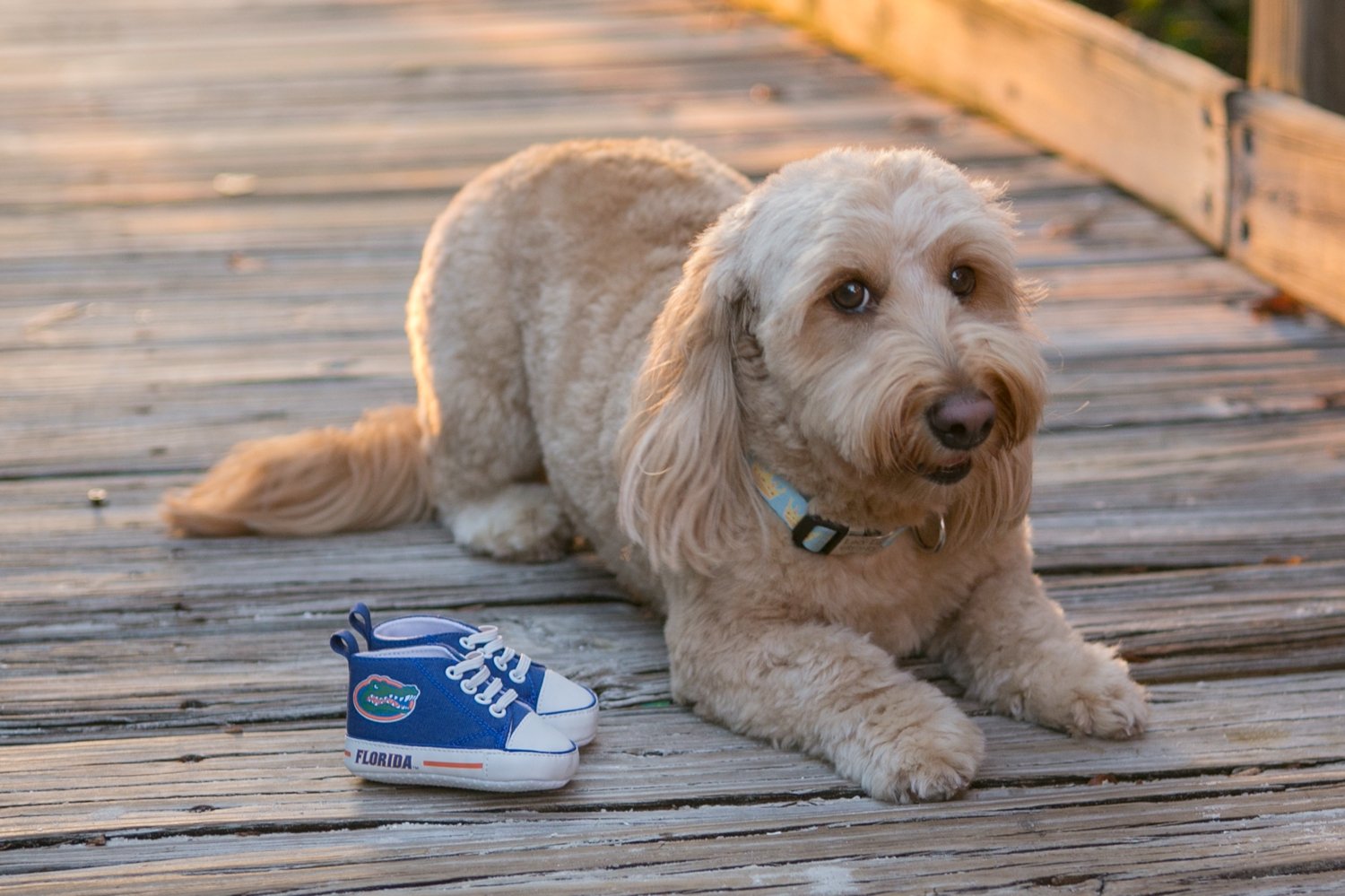 cypress-point-park-tampa-maternity-photos-logan-kevin 13.jpg