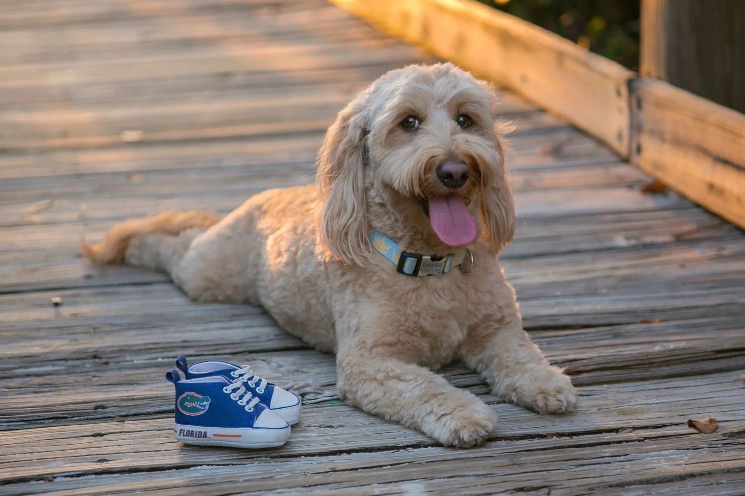 cypress-point-park-tampa-maternity-photos-logan-kevin 14.jpg