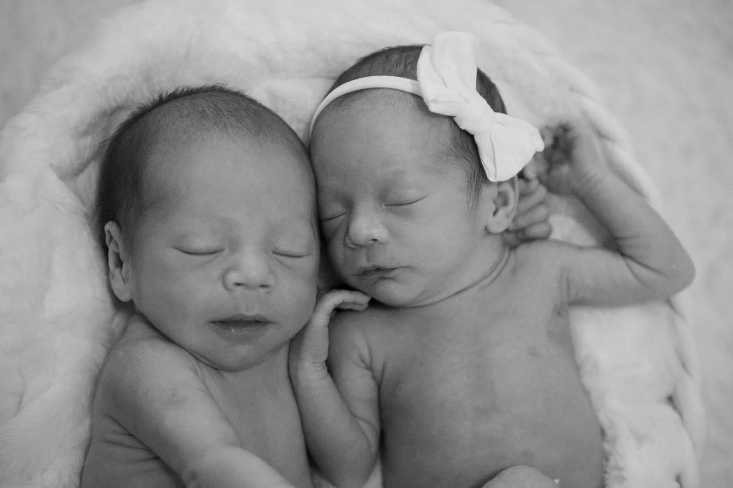 tampa-newborn-session-black-and-white-twins-sleeping