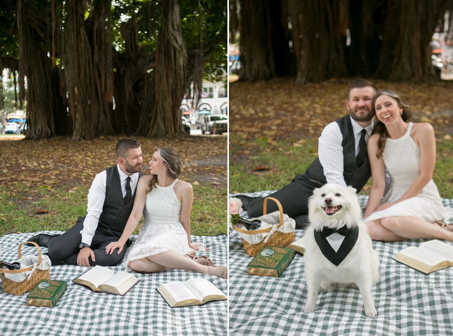 Bookish picnic engagement session under the banyan trees in downtown St. Pete with their dog
