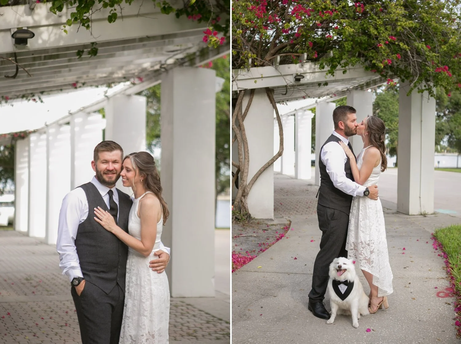 Engaged couple kissing under pink bougainvillea in downtown St. Petersburg with their dog
