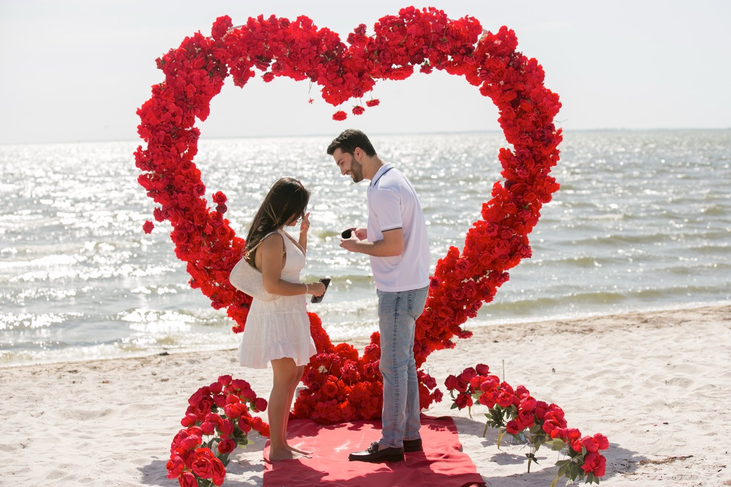 David getting down on one knee to propose to his girlfriend at cypress Point Park Tampa