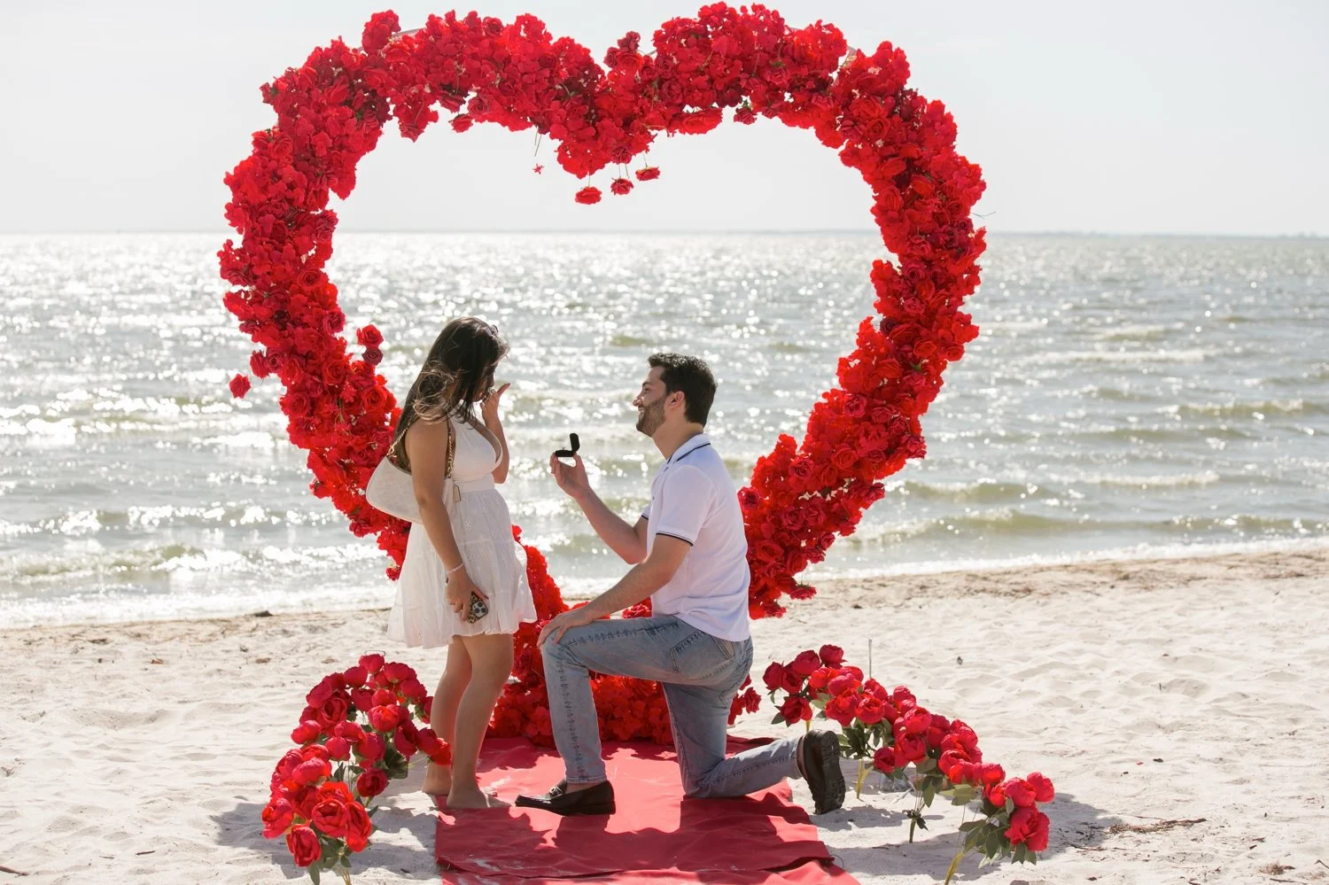 Surprise Proposal Cypress Point Park | David &amp; Mary