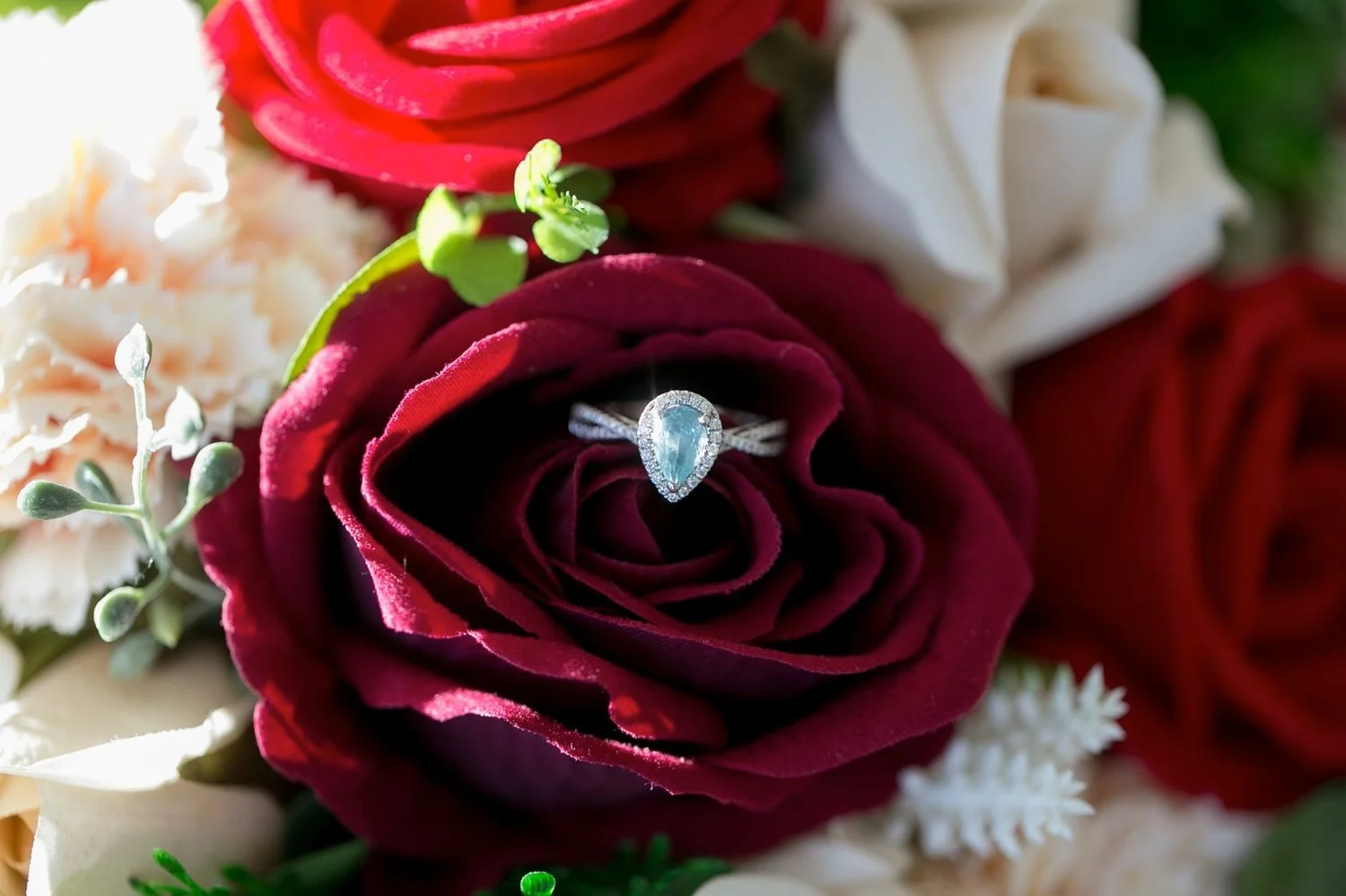 Aquamarine pear-shaped engagement ring resting in a red rose