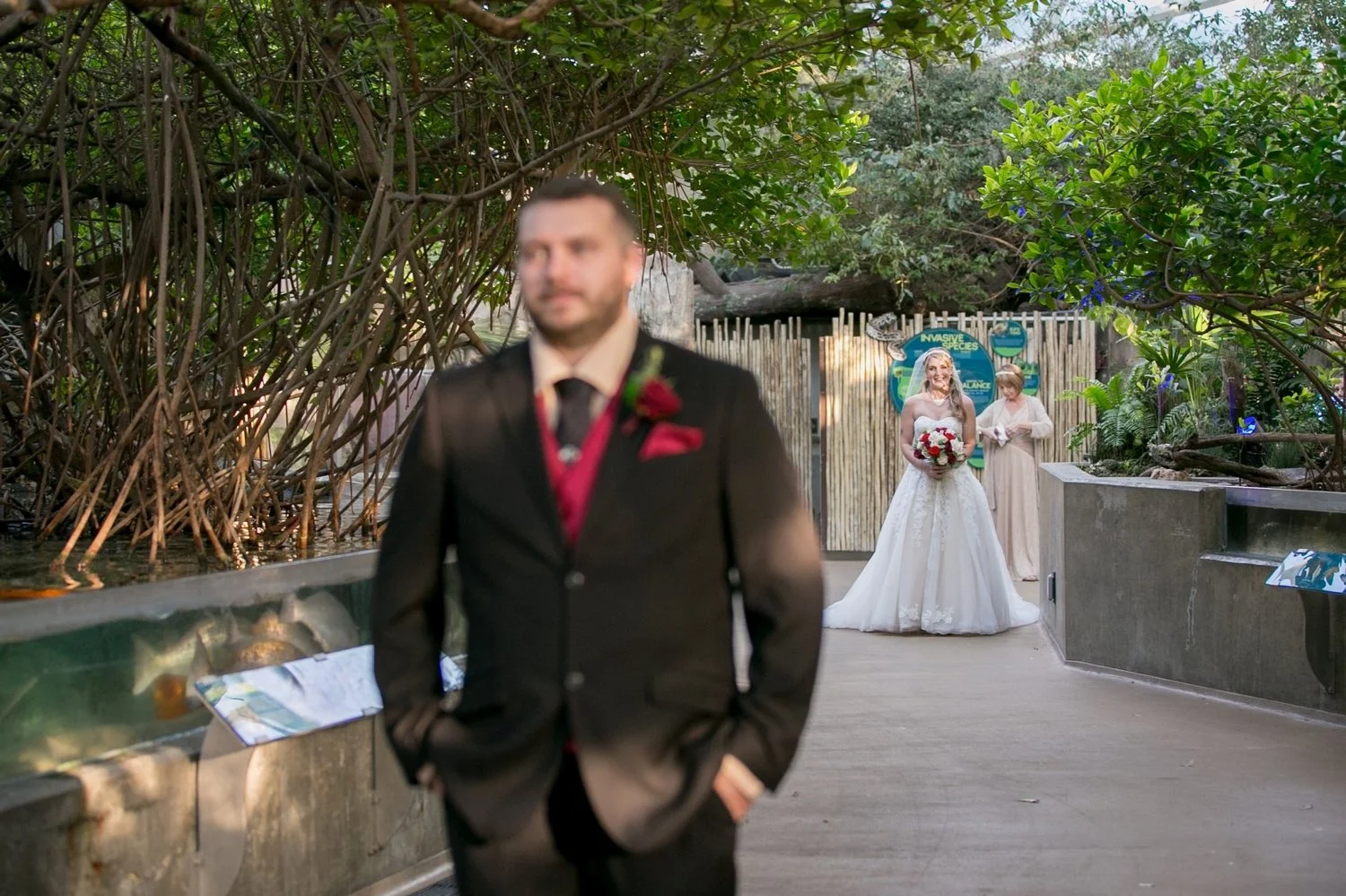 Groom waiting for the first look as the bride walks up in the aquarium’s wetlands gallery