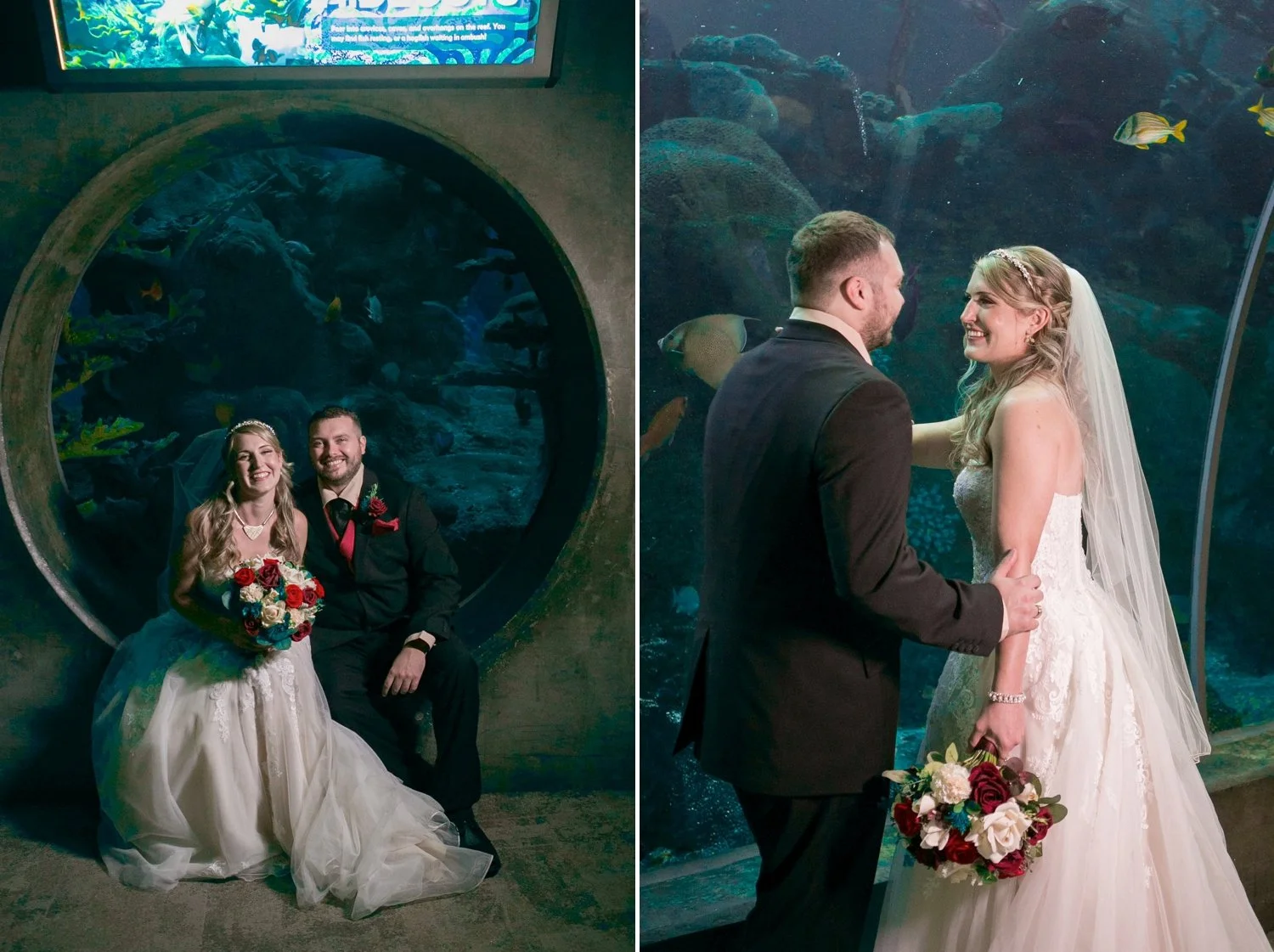 Bride and groom in a round porthole window and in front of a reef tank at The Florida Aquarium