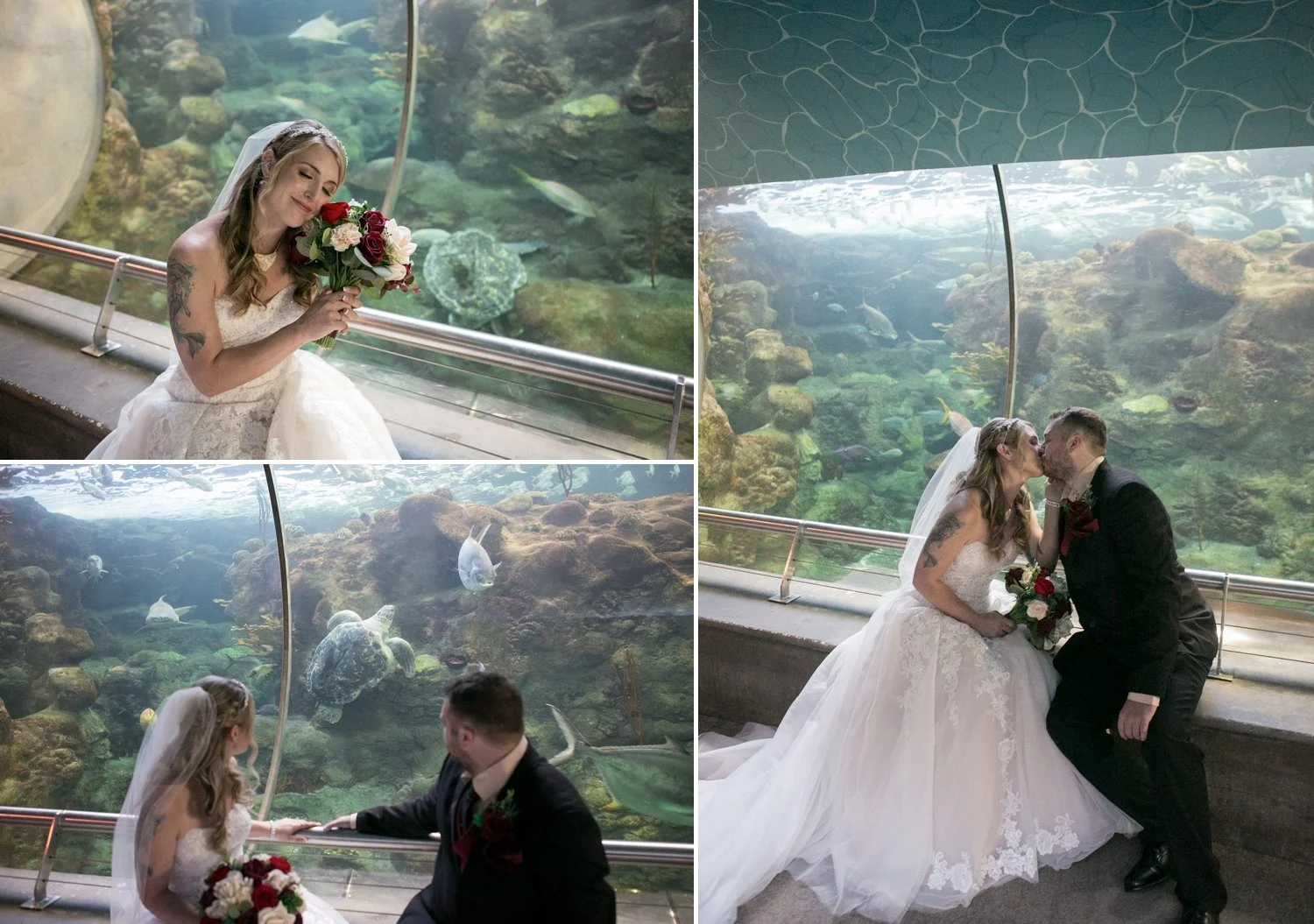 Bride and groom with a sea turtle swimming by in the coral reef tunnel