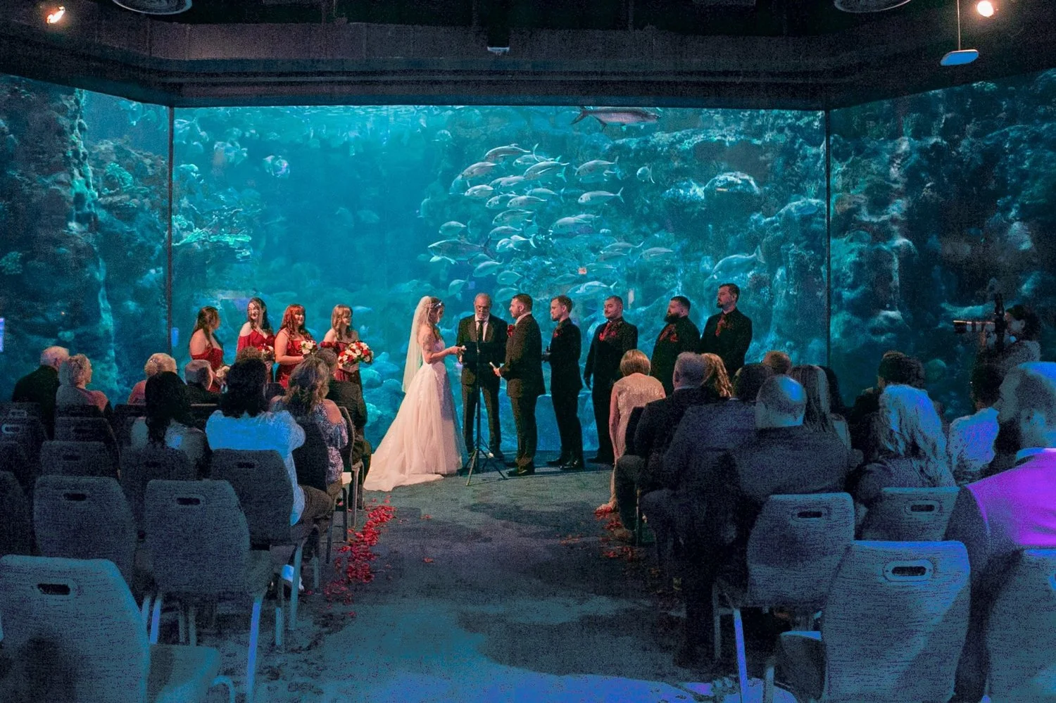 Wedding ceremony in front of the giant reef window at The Florida Aquarium