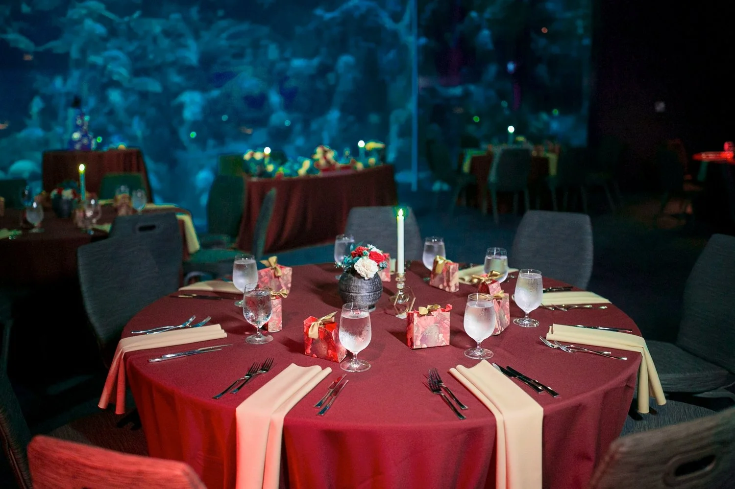 Reception tables with burgundy linens, rose centerpieces and candles at The Florida Aquarium