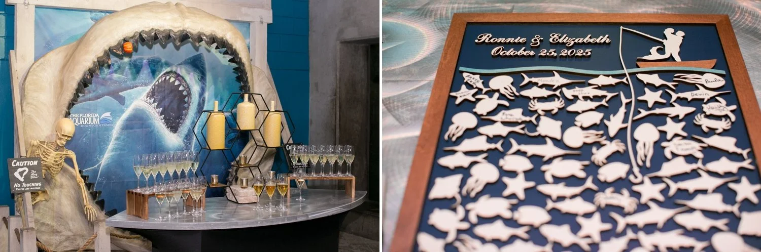 Shark jaw champagne display and a wooden fish puzzle guest book