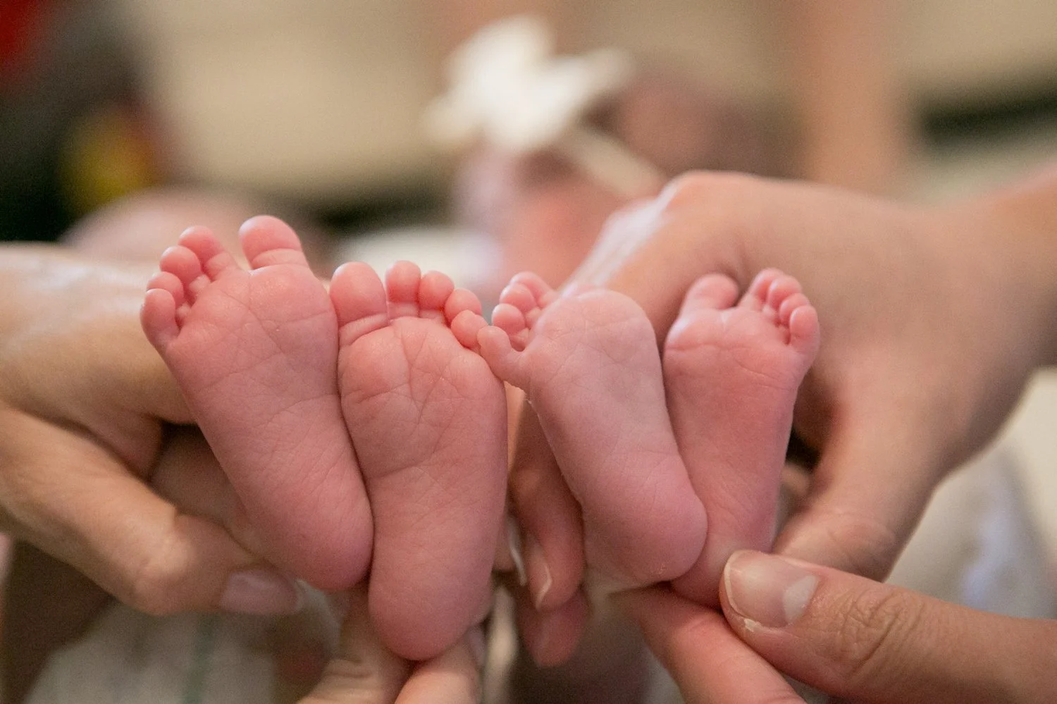 Tiny newborn twin baby feet held in parents' hands Tampa newborn photography